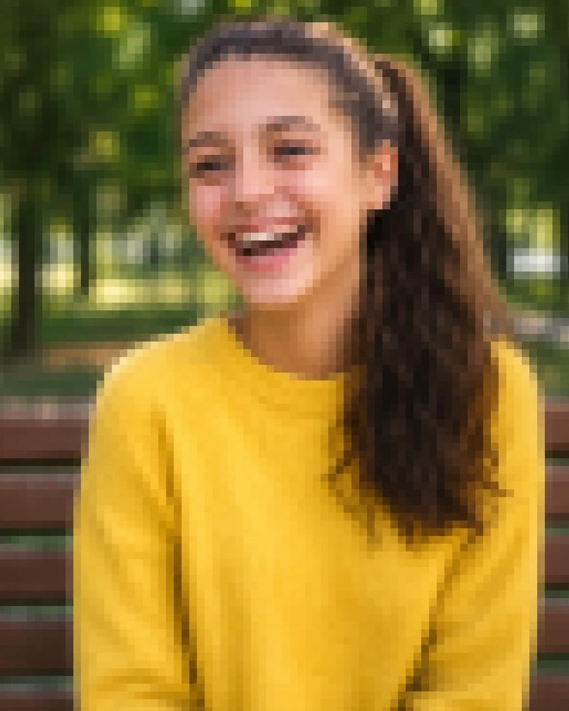 Chica junto a un lago con pixelación marcada en rostro y fondo